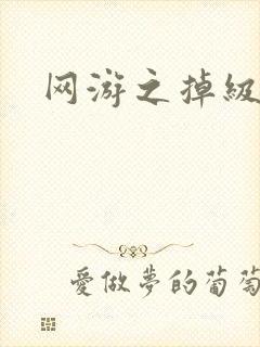 网游之掉级专家