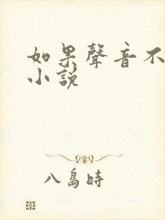 如果声音不记得小说