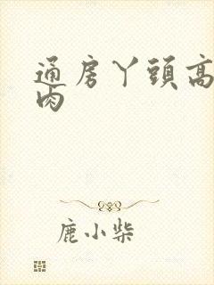 通房丫头高h纯肉