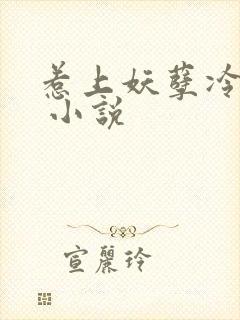 惹上妖孽冷殿下 小说