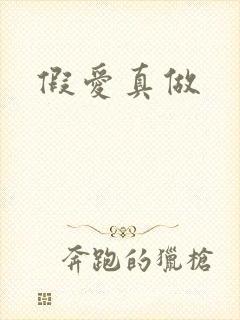 假爱真做