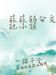 苏苏的公交车日记小说