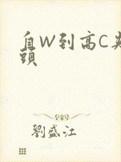 自W到高C夹枕头