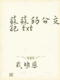 苏苏的公交车日记 txt