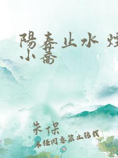 阳春止水 烟树小荞