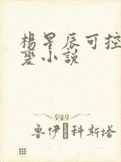 杨星辰可控核聚变小说