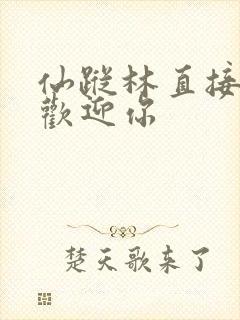 仙踪林直接入口欢迎你