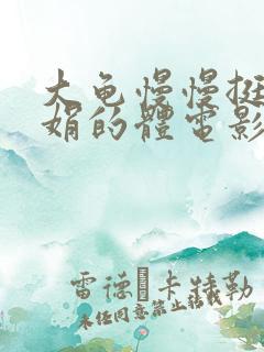 大龟慢慢挺进张娟的体电影