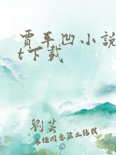 贾平凹小说txt下载