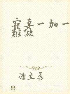 宠妻一加一老婆难做