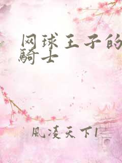 网球王子的公主骑士