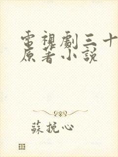 电视剧三十而已原著小说