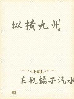 纵横九州