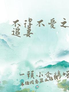 不得不爱之冷少追妻