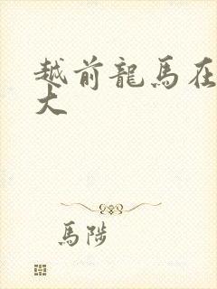 越前龙马在立海大