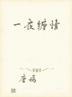 一夜缠情
