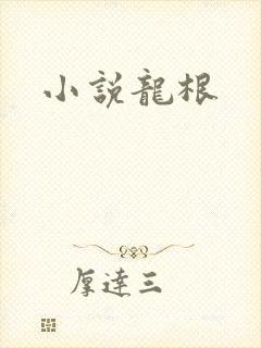 小说龙根