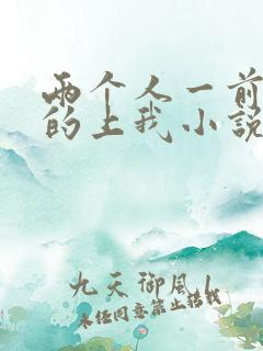 两个人一前一后的上我小说