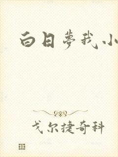 白日梦我小说
