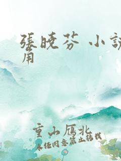 张晓芬 小说主角