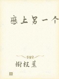 恋上另一个自己