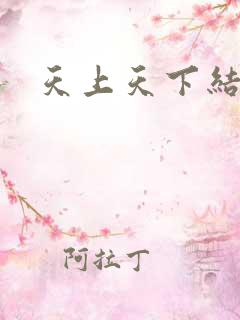 天上天下结局