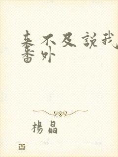 来不及说我爱你番外