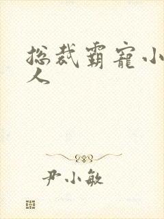 总裁霸宠小小女人