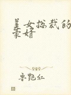 美女总裁的顶级豪婿