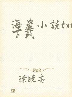 海岩小说txt下载