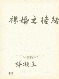 裸婚之后结局