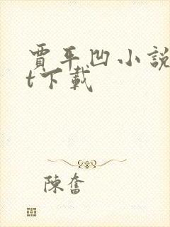 贾平凹小说txt下载