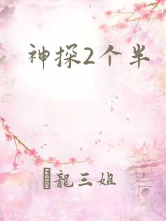神探2个半