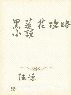 黑莲花攻略手册小说