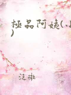 极品阿姨(小说)