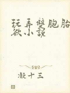 玩弄双胞胎的肉欲小说