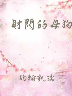 财阀的母狗们