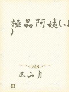 极品阿姨(小说)