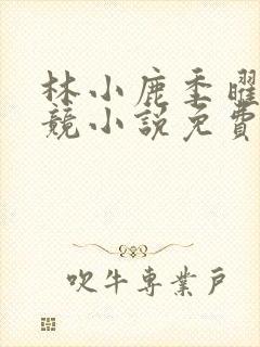 林小鹿季曜珉电竞小说免费阅读