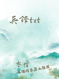 兵锋txt