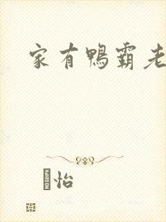 家有鸭霸老公
