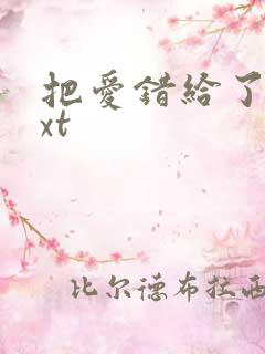 把爱错给了你txt