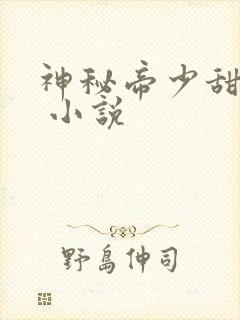 神秘帝少甜宠妻 小说