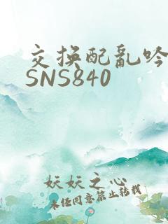 交换配乱吟粗大SNS840