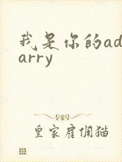 我是你的adcarry