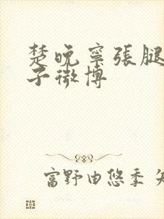 楚晚宁张腿放棋子微博