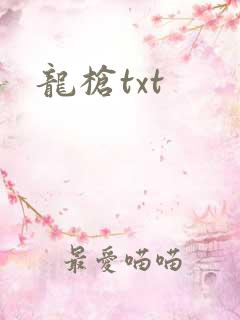 龙枪txt