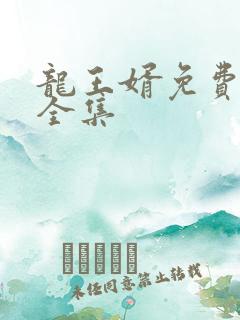 龙王婿免费完结全集
