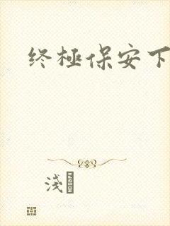 终极保安下载