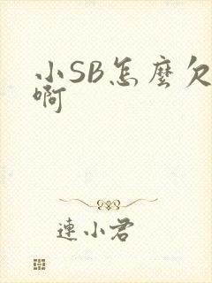 小SB怎么欠C啊